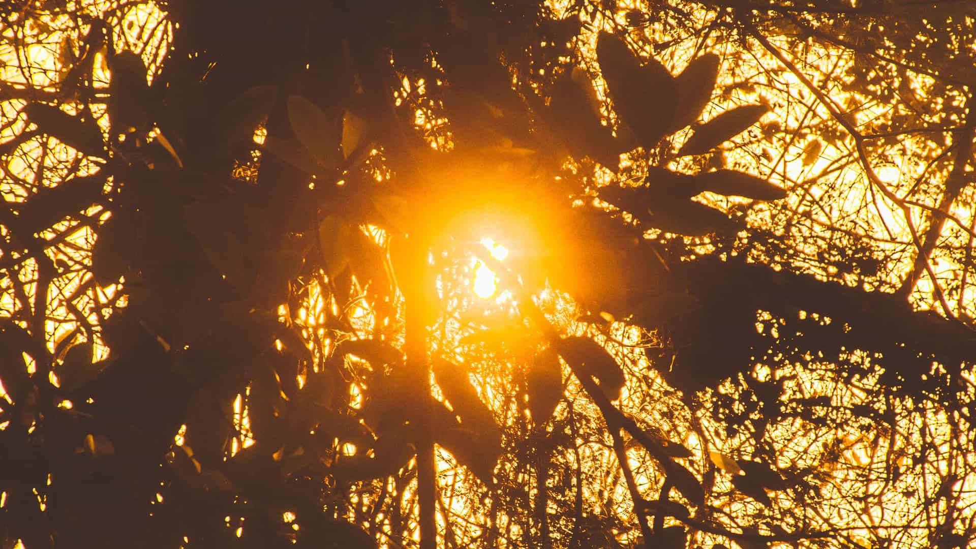 Solarenergie Solafrica